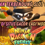 PANDUAN MENANG MAIN NINJA RACCON FRENZY TERBARU